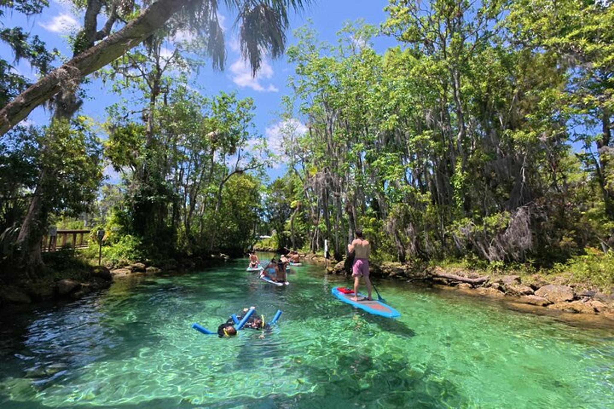 Crystal River Tandem Kayak Rental with Manatees 2 hr - Image 6