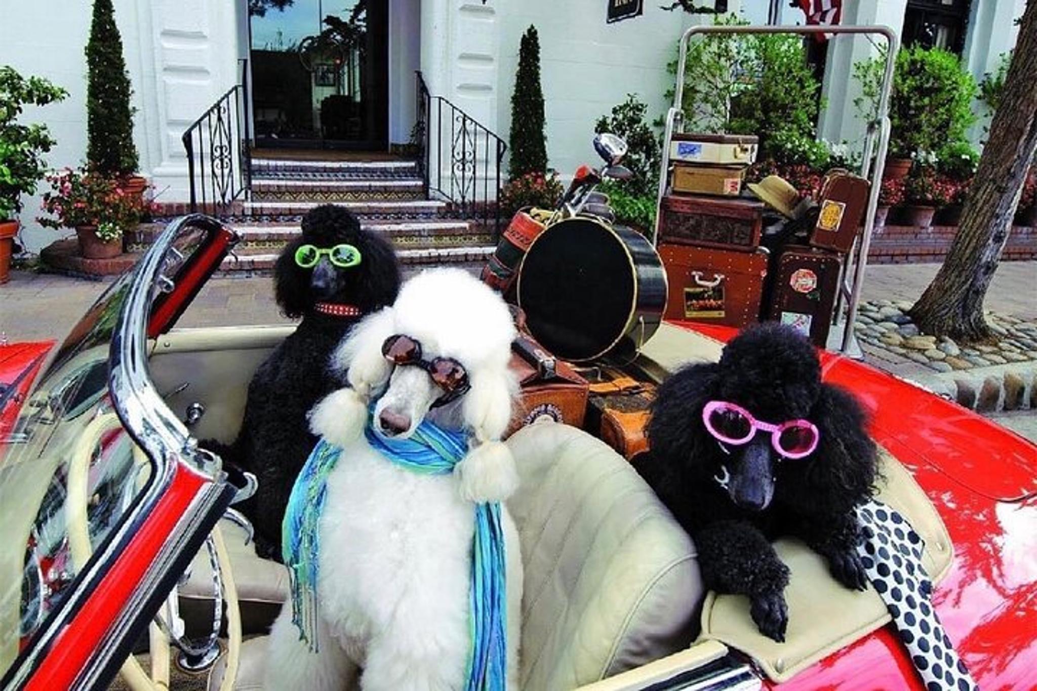 Carmel-by-the-Sea Walking Tour - Image 5