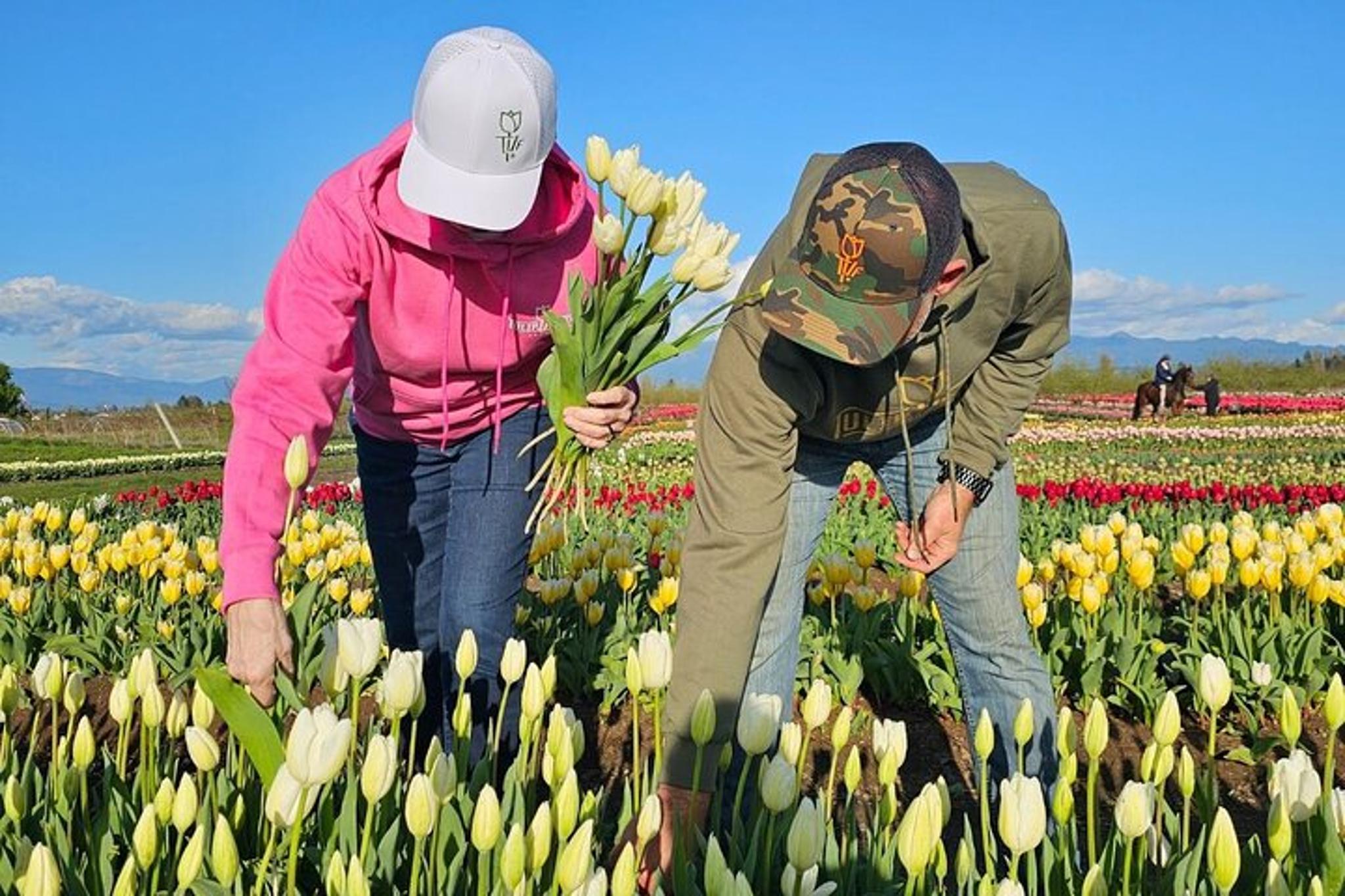 Seattle Skagit Valley Tulip Festival Day Tour - Image 6
