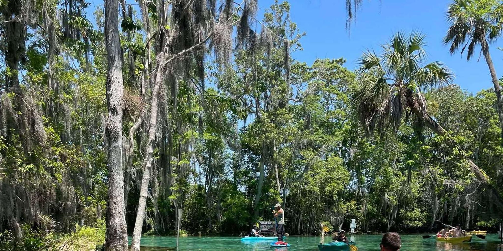 Crystal River Kayak with Manatee Viewing at Sunset - Image 6