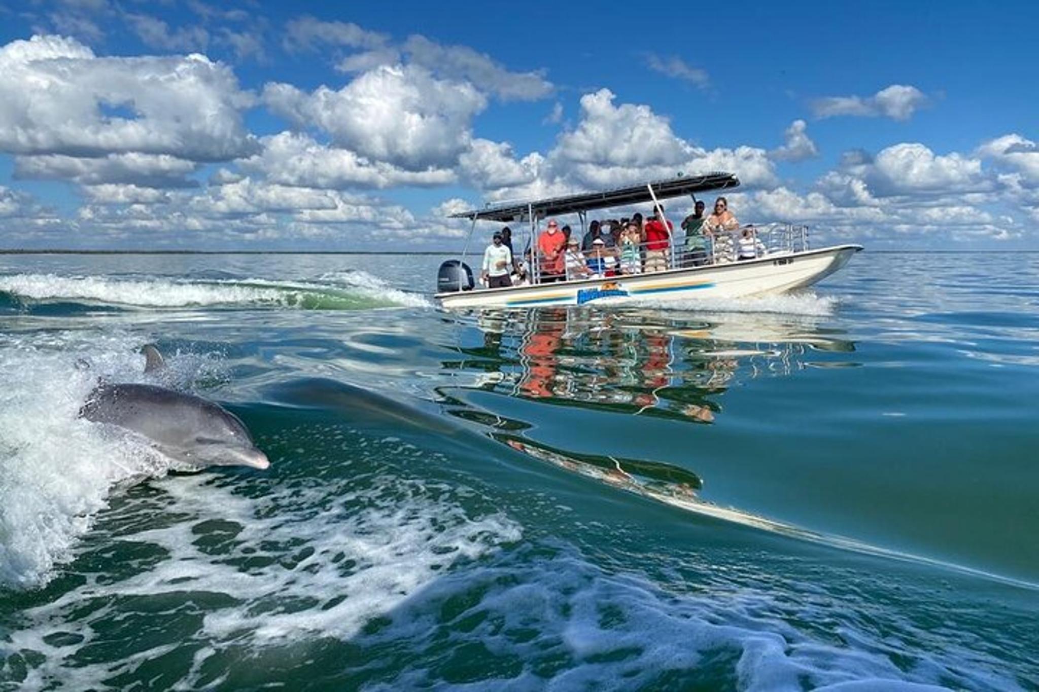 Marco Island Dolphin Sightseeing Tour 2 hr - Image 6