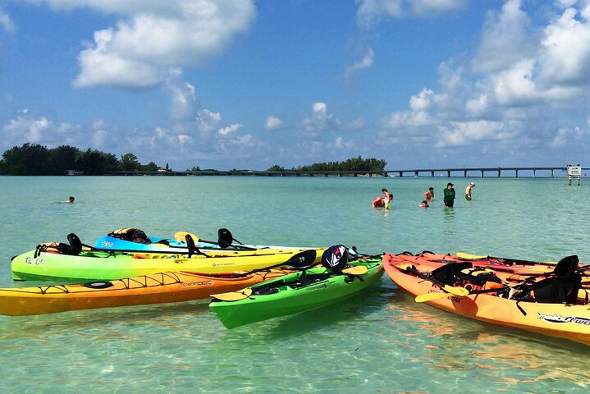 Sarasota Bay Kayaking Tour with Coastal Wildlife - Image 2