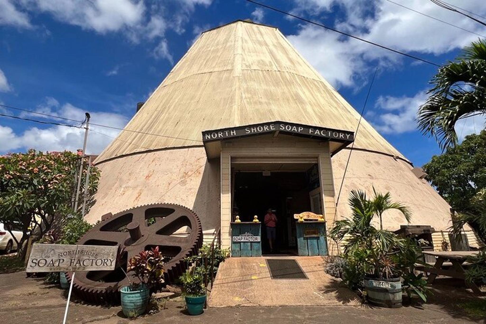 Oahu North Shore Small Group Tour - Image 6