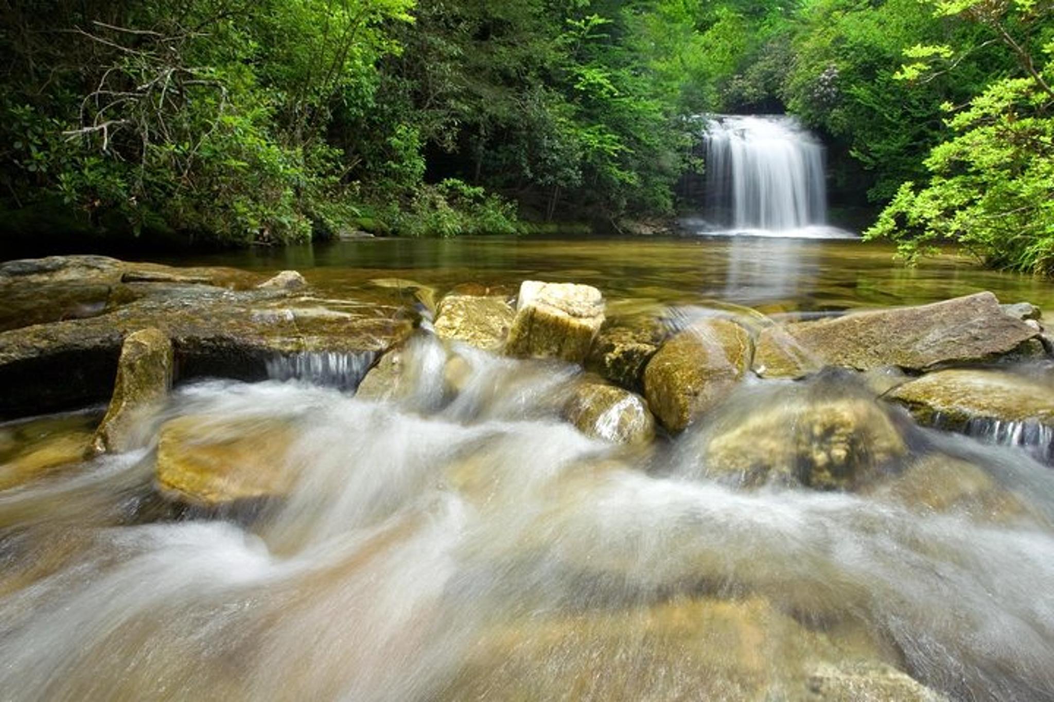 Asheville Waterfall and Blue Ridge Parkway Tour - Image 2