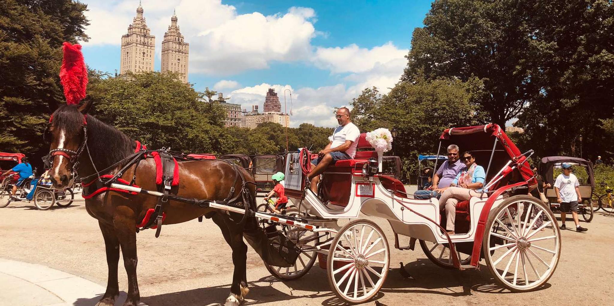 New York City Horse Carriage Ride in Central Park - Image 5