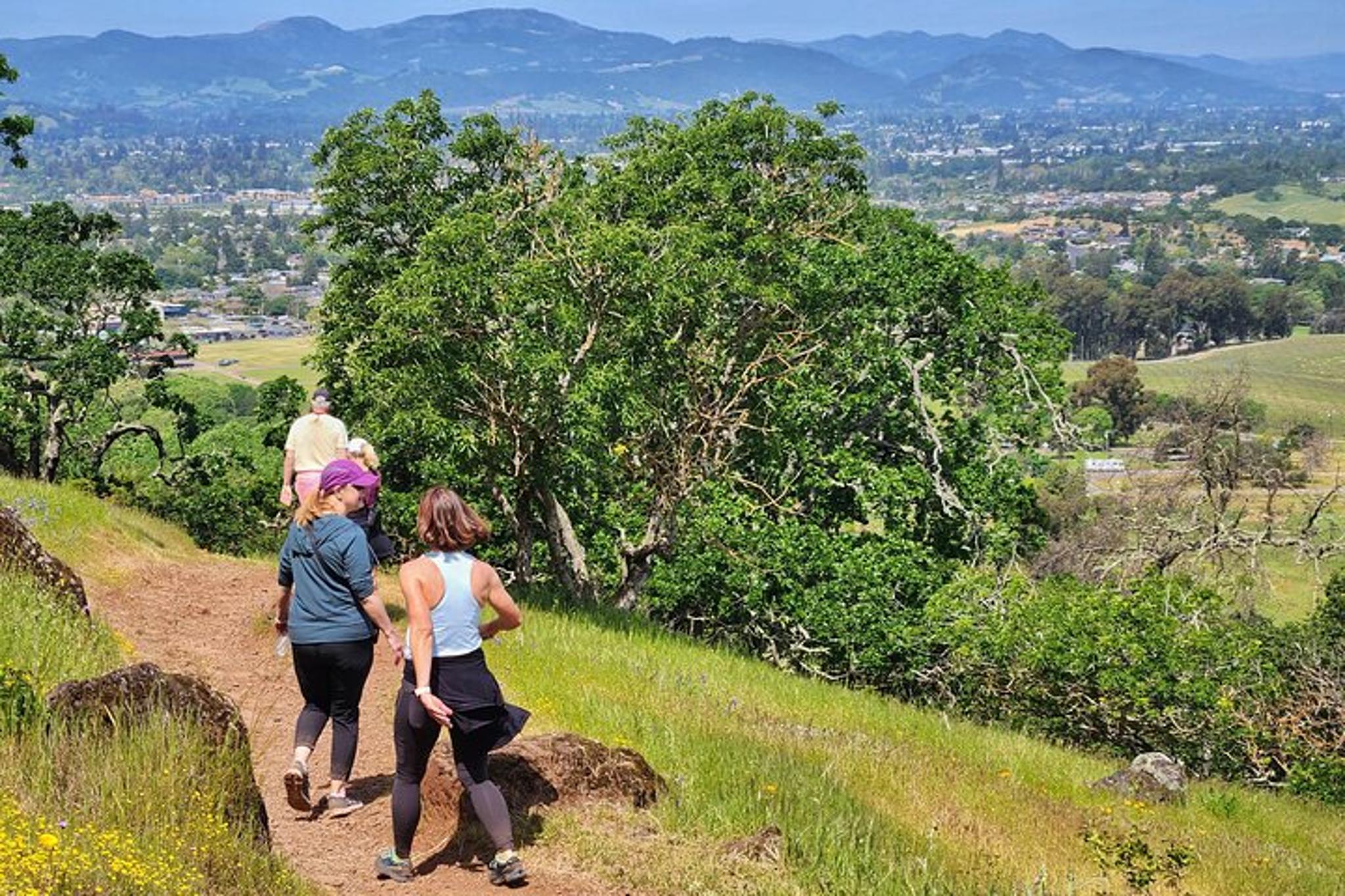 Napa Valley Redwood Hike - Image 4