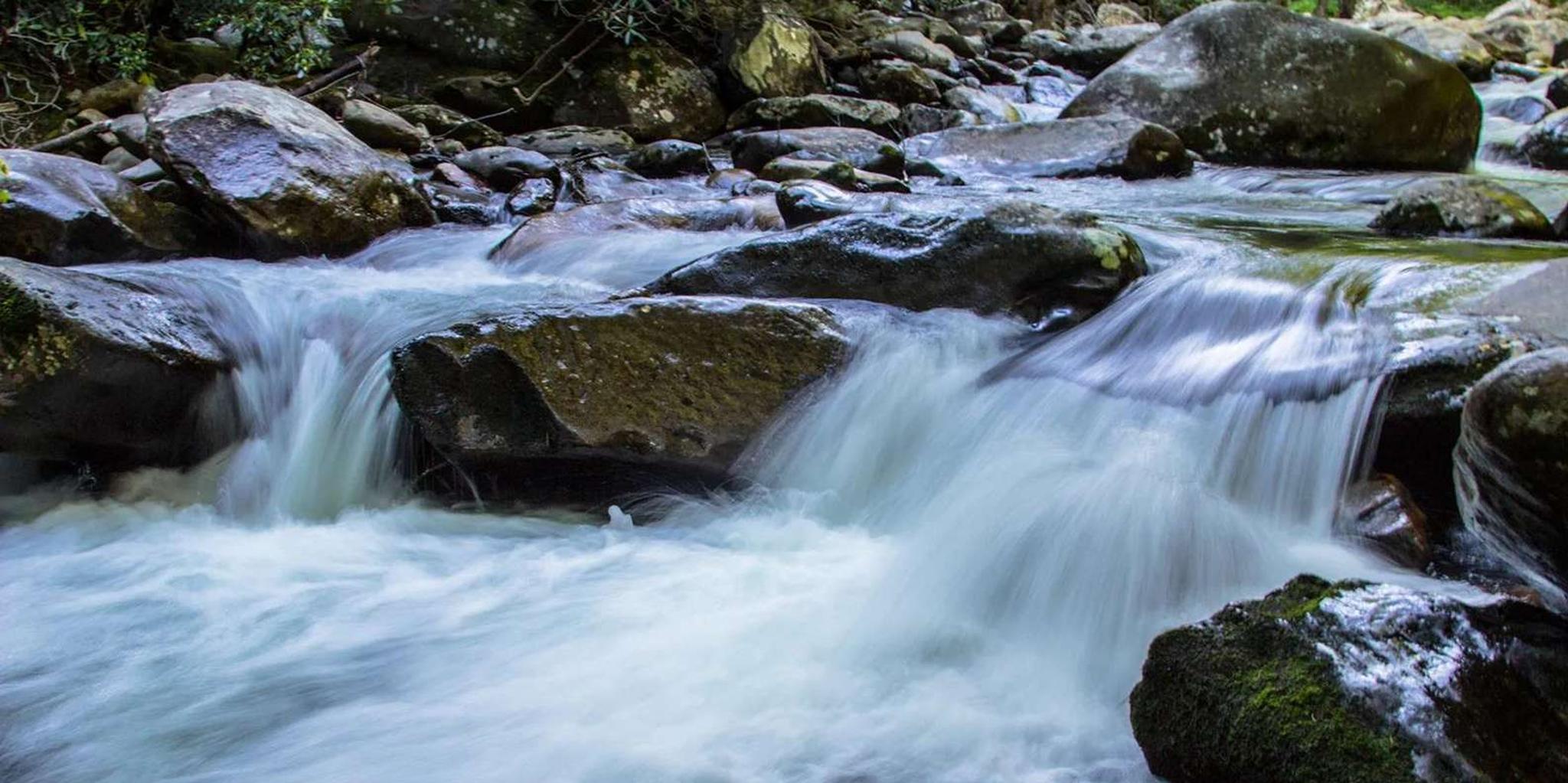 Pigeon Forge Smoky Mountains Jeep Tour - Image 2