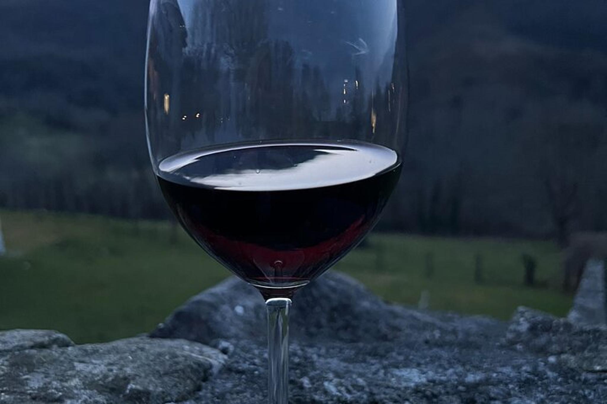 New York City Wine Tasting Tour to Hudson Valley - Image 5