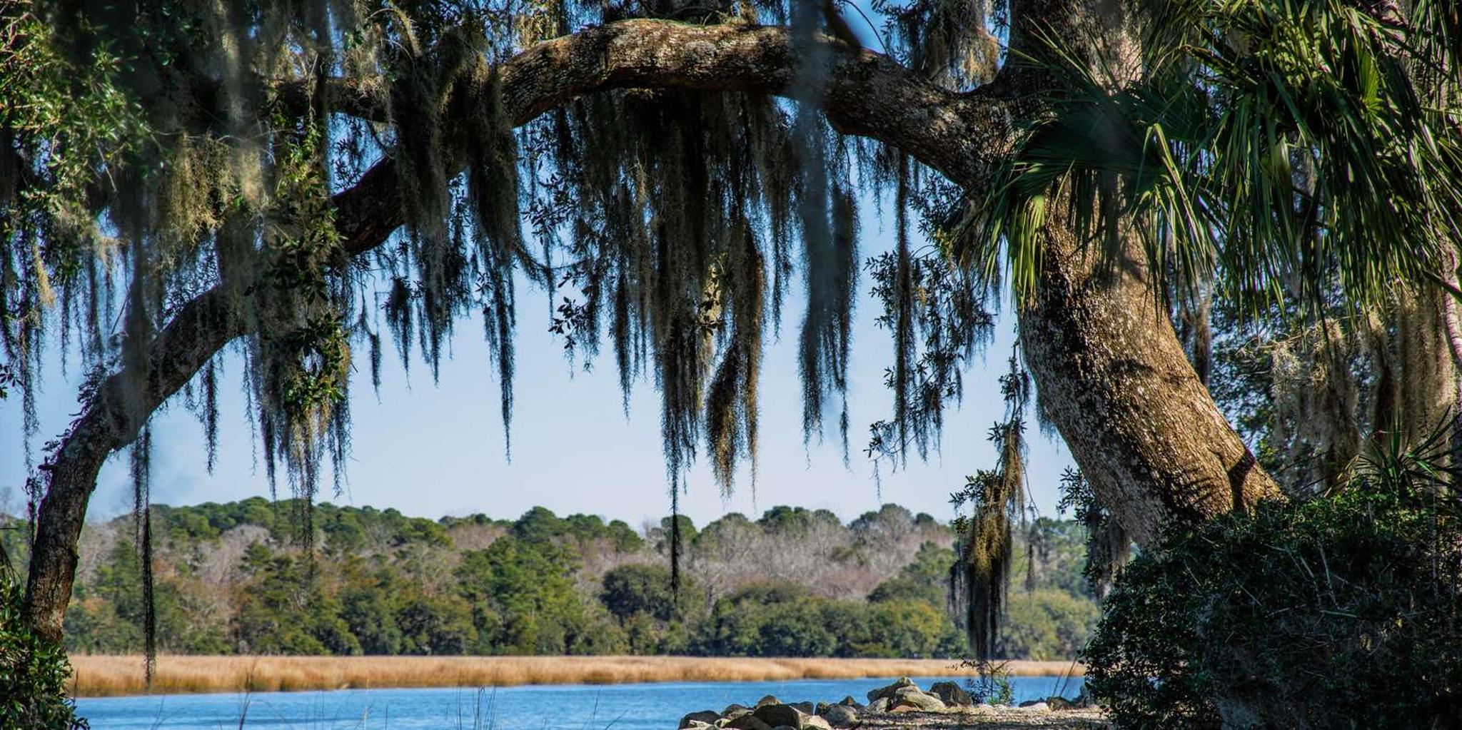 Charleston Magnolia Plantation Tour with City Highlights - Image 2