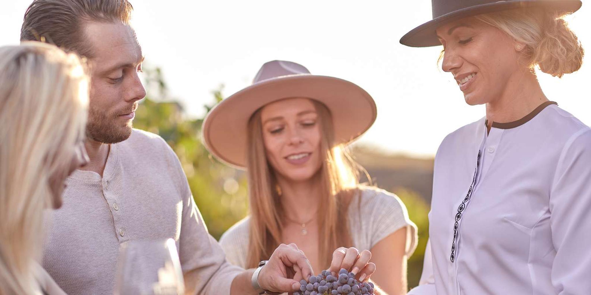 Temecula Wine Tour with Tastings and Food Pairings - Image 1