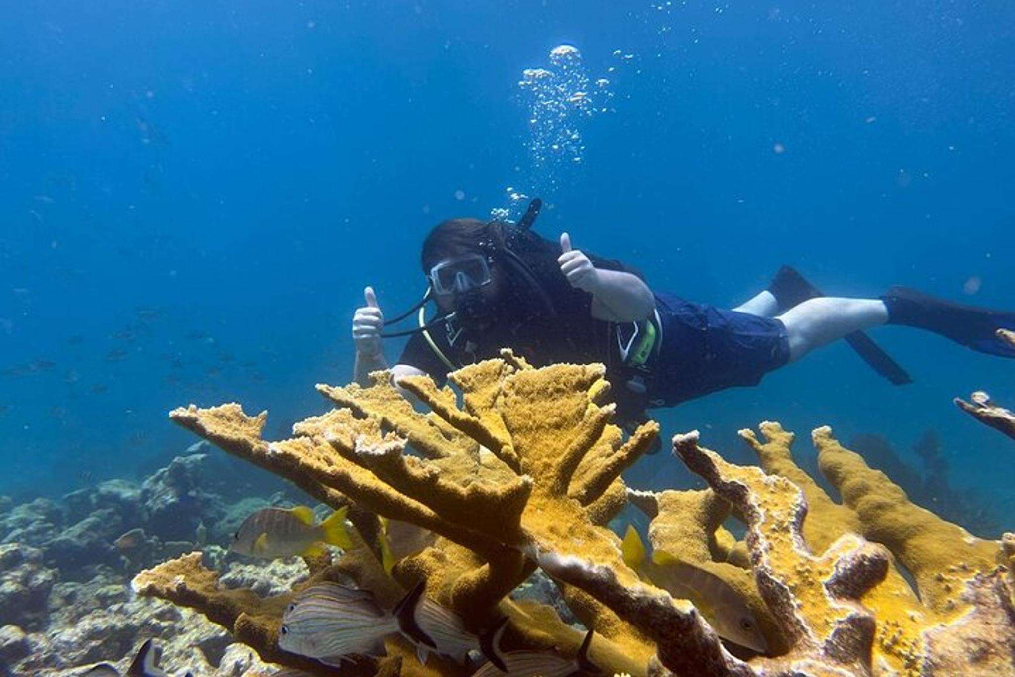 Key Largo Fishing and Snorkel Combo