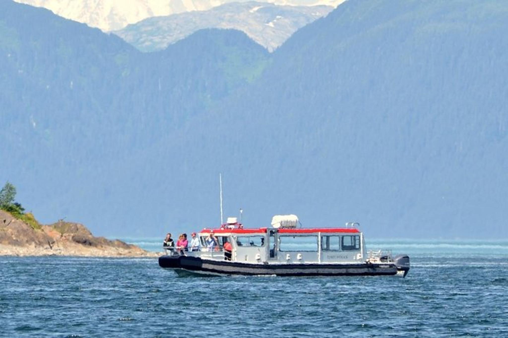Icy Strait Whale Watching Adventure 3 hr - Image 2
