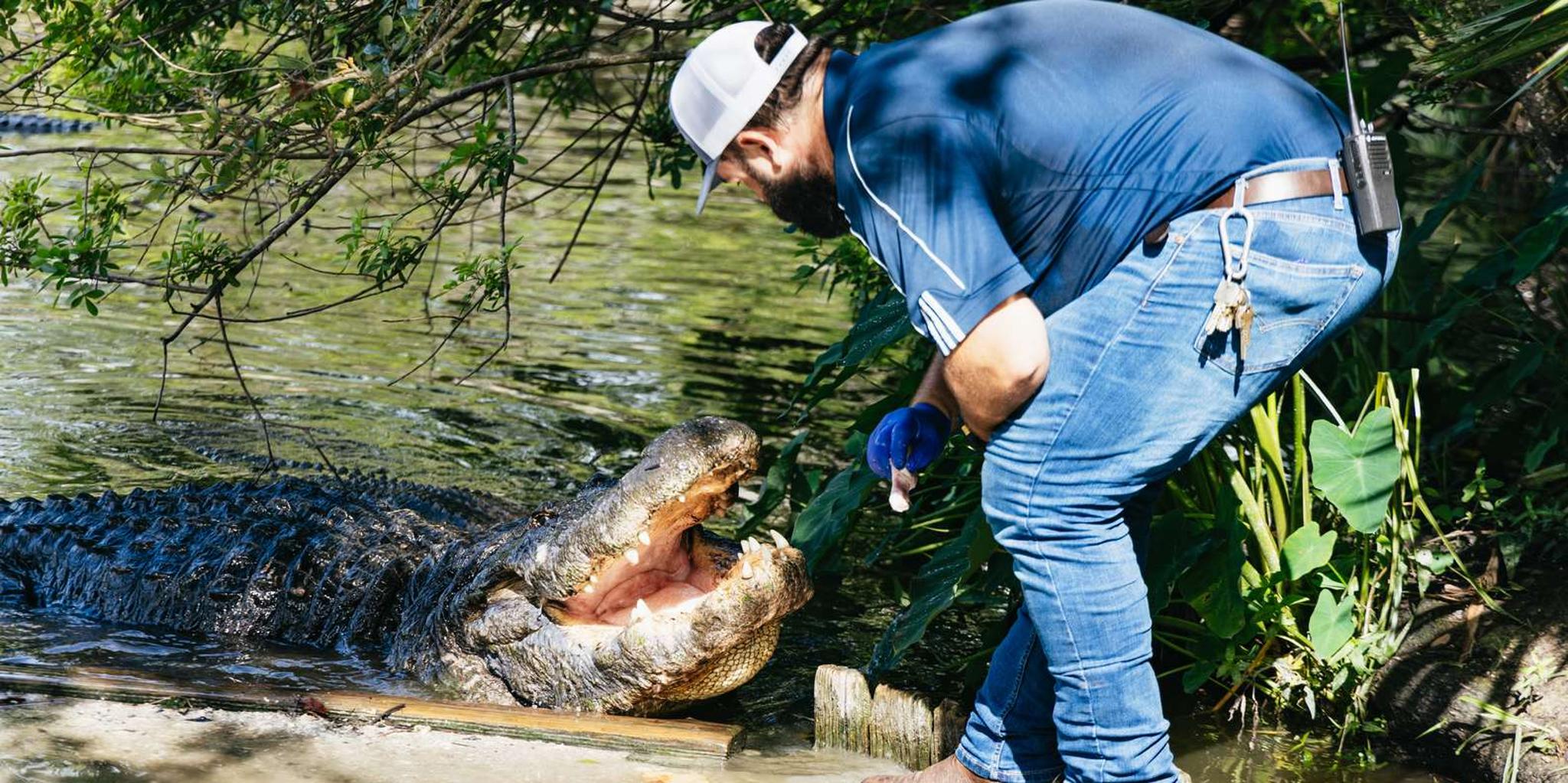 Orlando Gatorland Skip-the-Line Ticket - Image 2