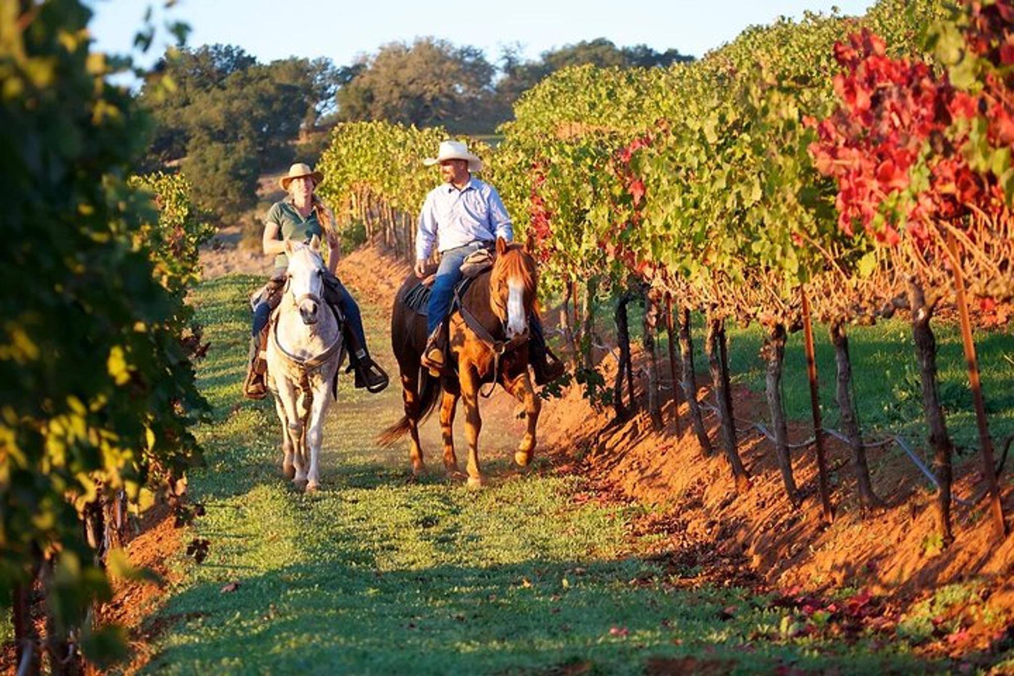 Sedona Horseback Riding Tour 1 hr - Image 2