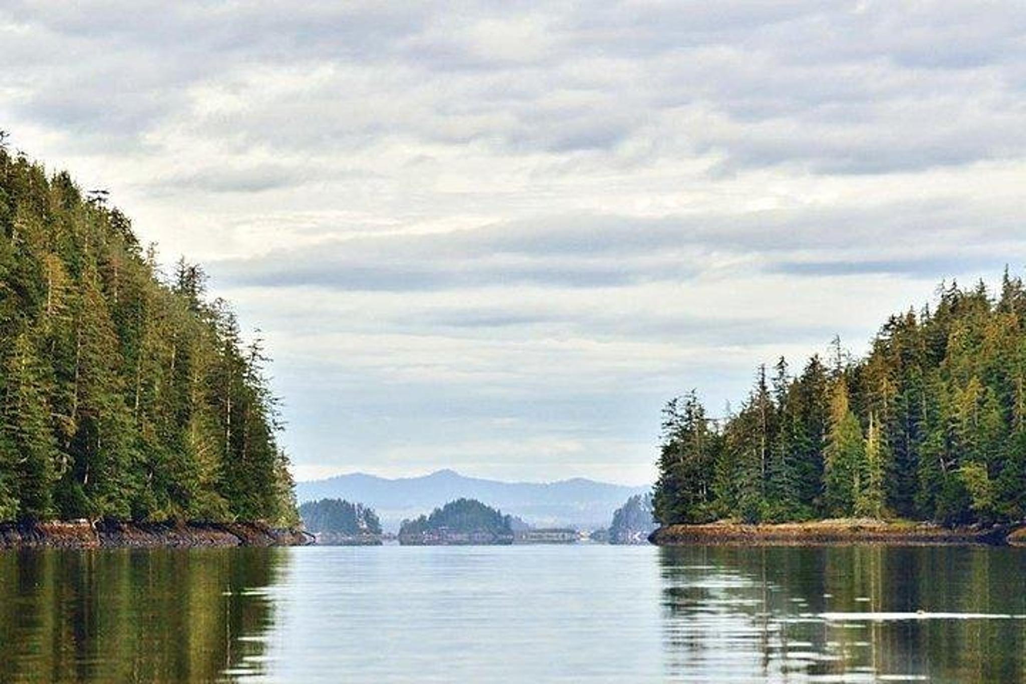 Sitka Sea Kayaking Adventure - Image 2