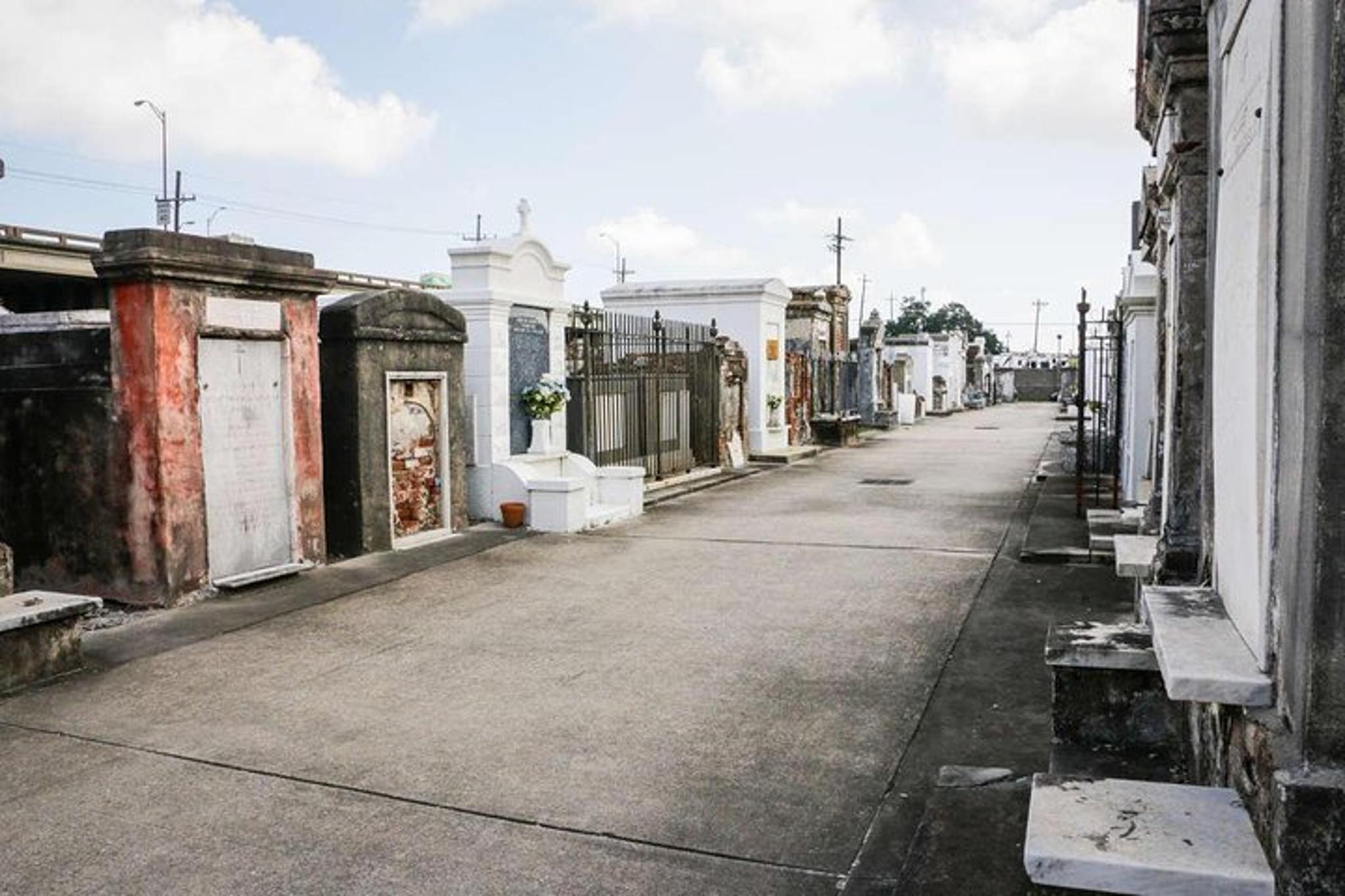 New Orleans Private Driving & Walking Tour - Image 6