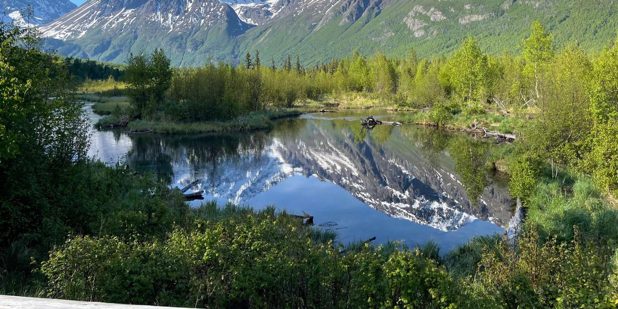 Anchorage Valley and Forest Hike with Naturalist