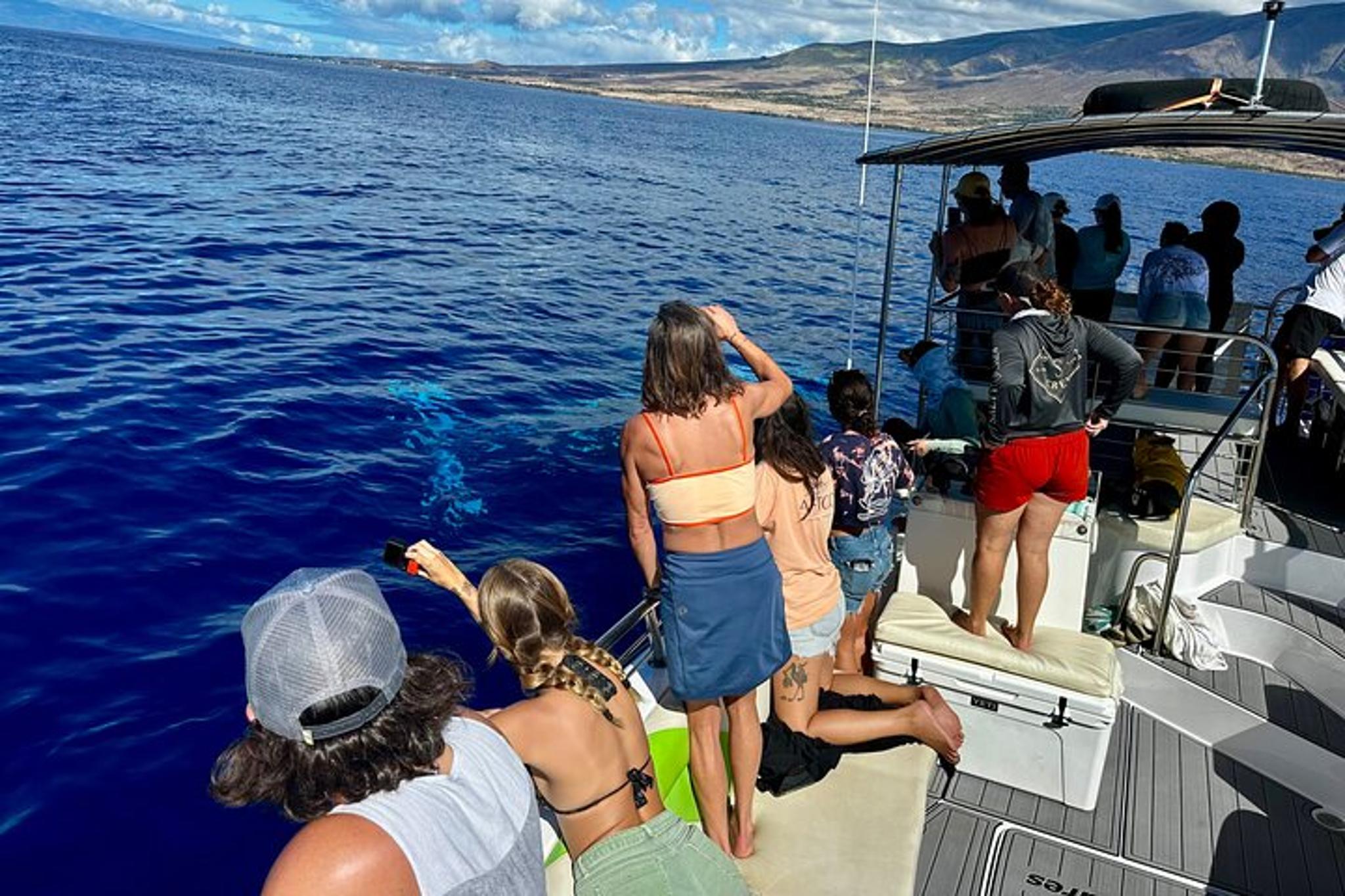 Maui Whale Watching Tour at Midday - Image 3