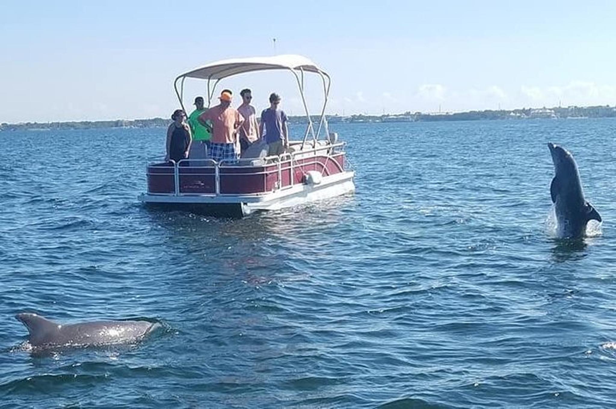 Key Largo Boat Eco Tour - Image 6