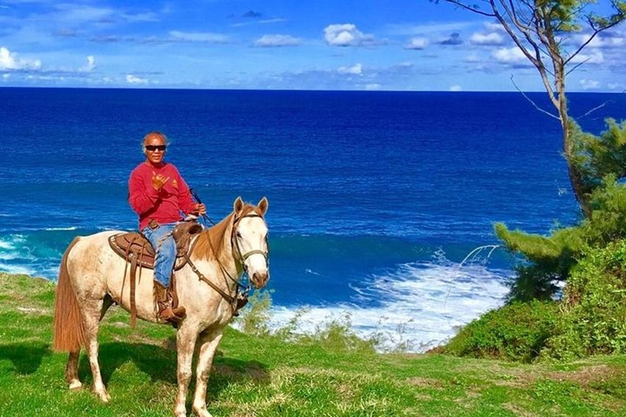 Maui Horseback Waterfall and Ocean Tour - Image 2