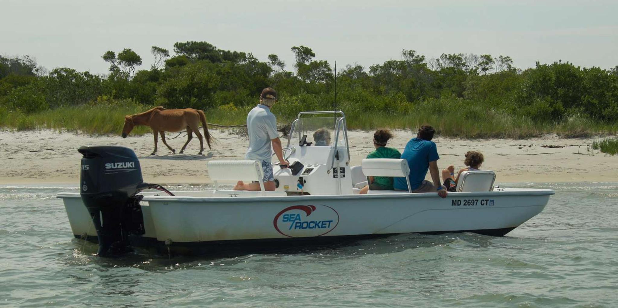 Ocean City Assateague Island Cruise - Image 6