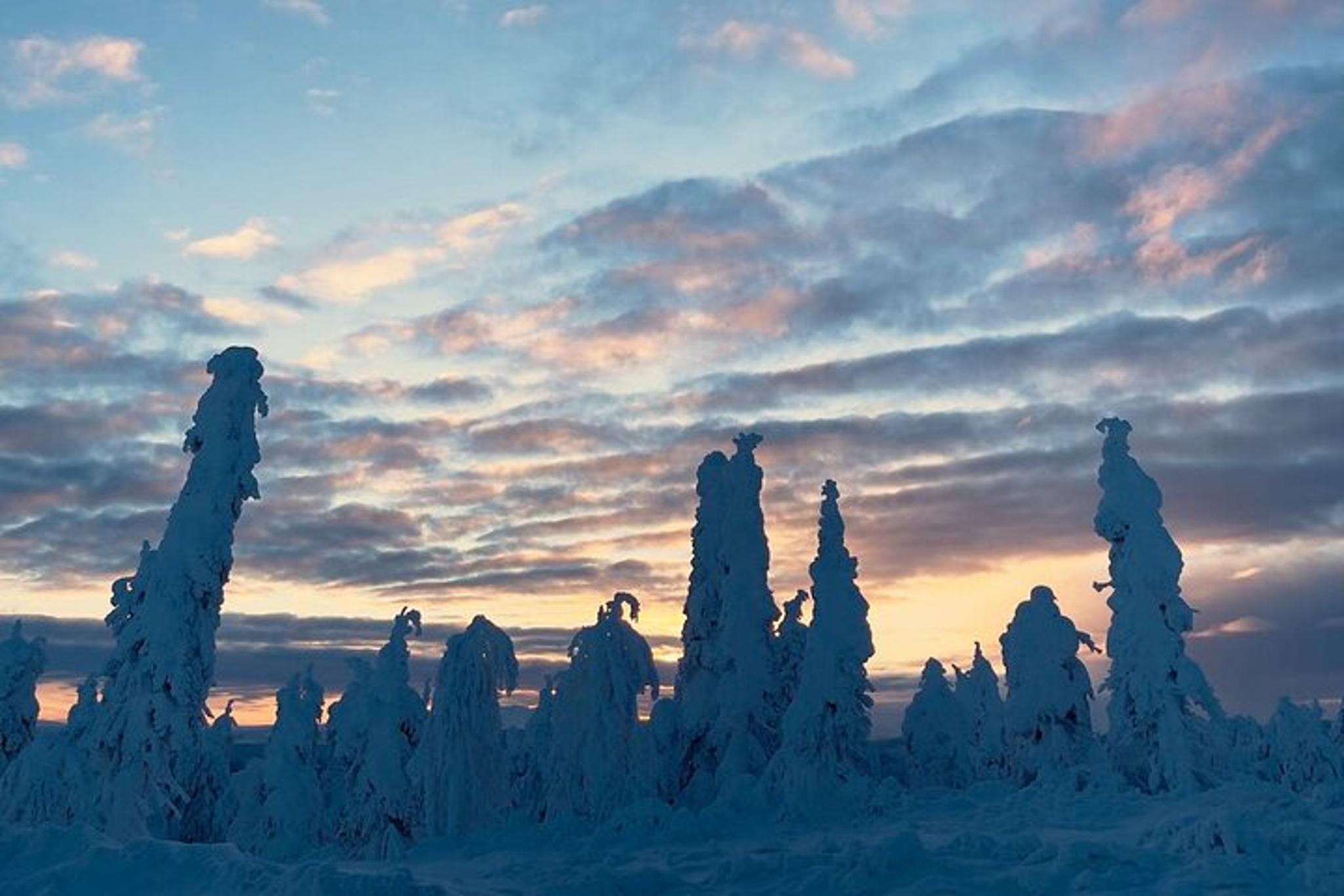 Fairbanks Arctic Circle Day Tour - Image 5
