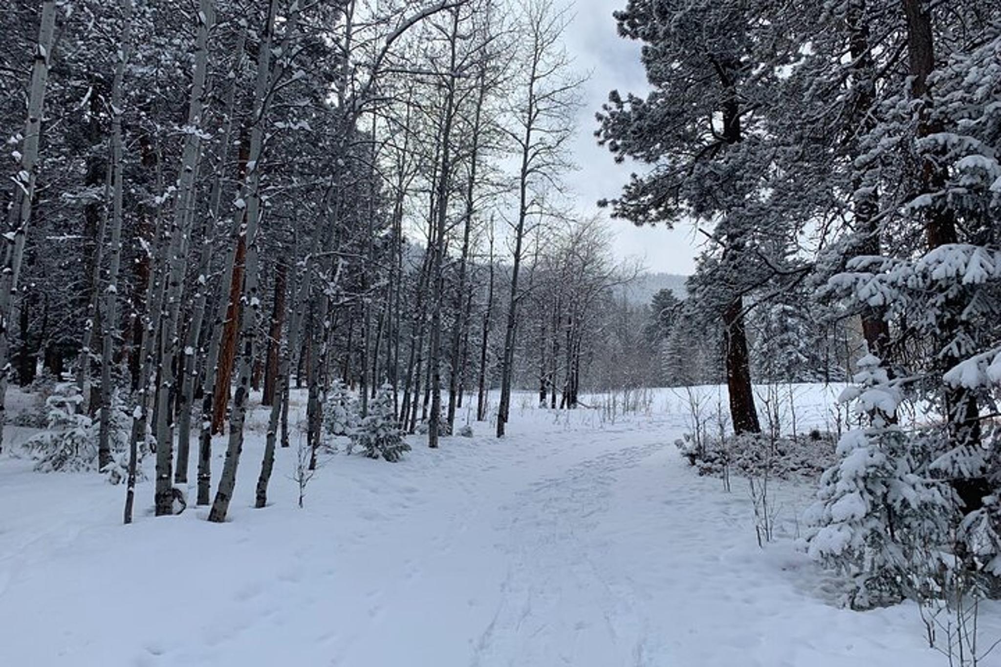 Denver Snowshoeing Adventure in the Rocky Mountains - Image 6