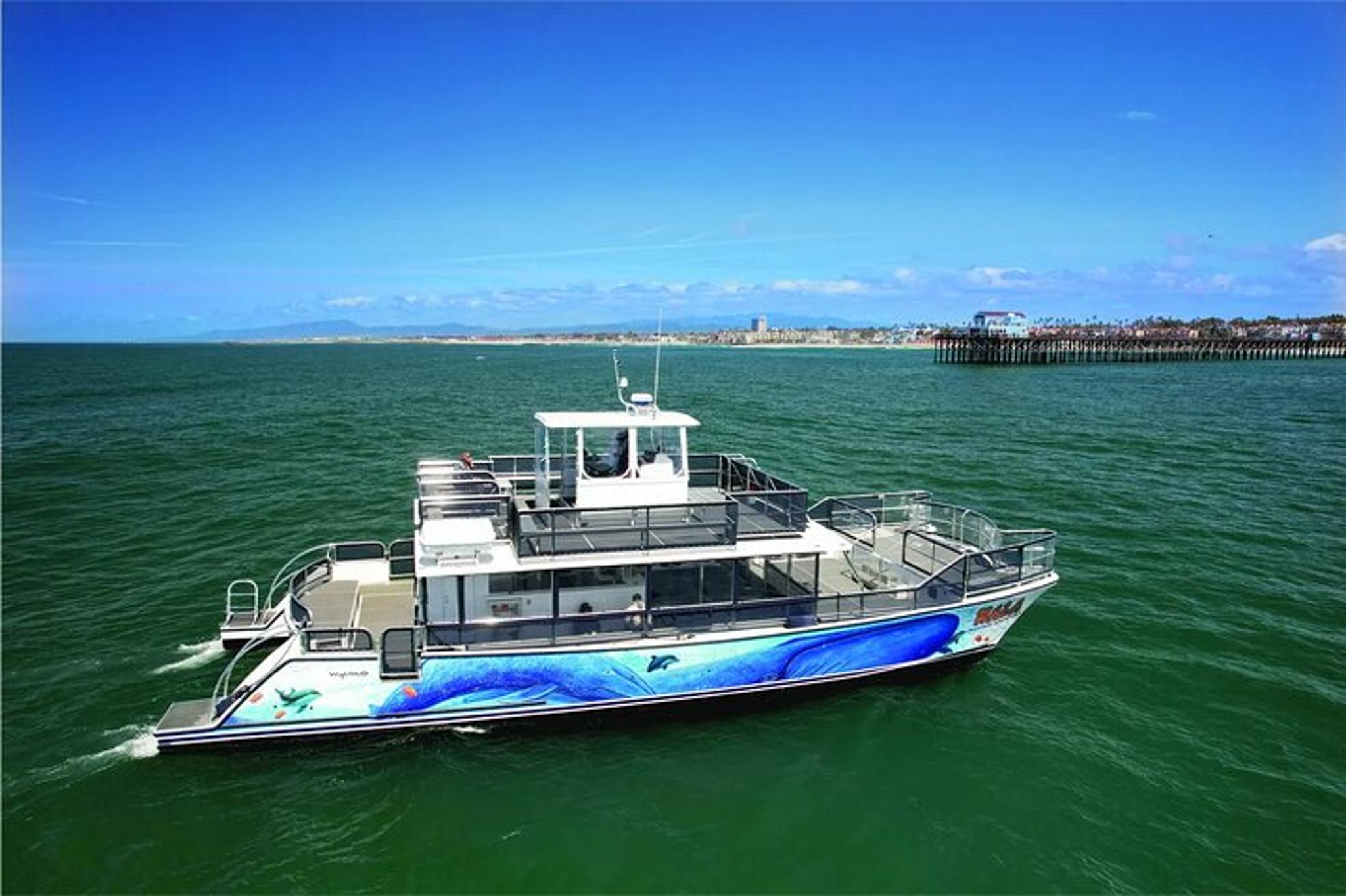 Oceanside Whale Watching Tour 2 hr - Image 3