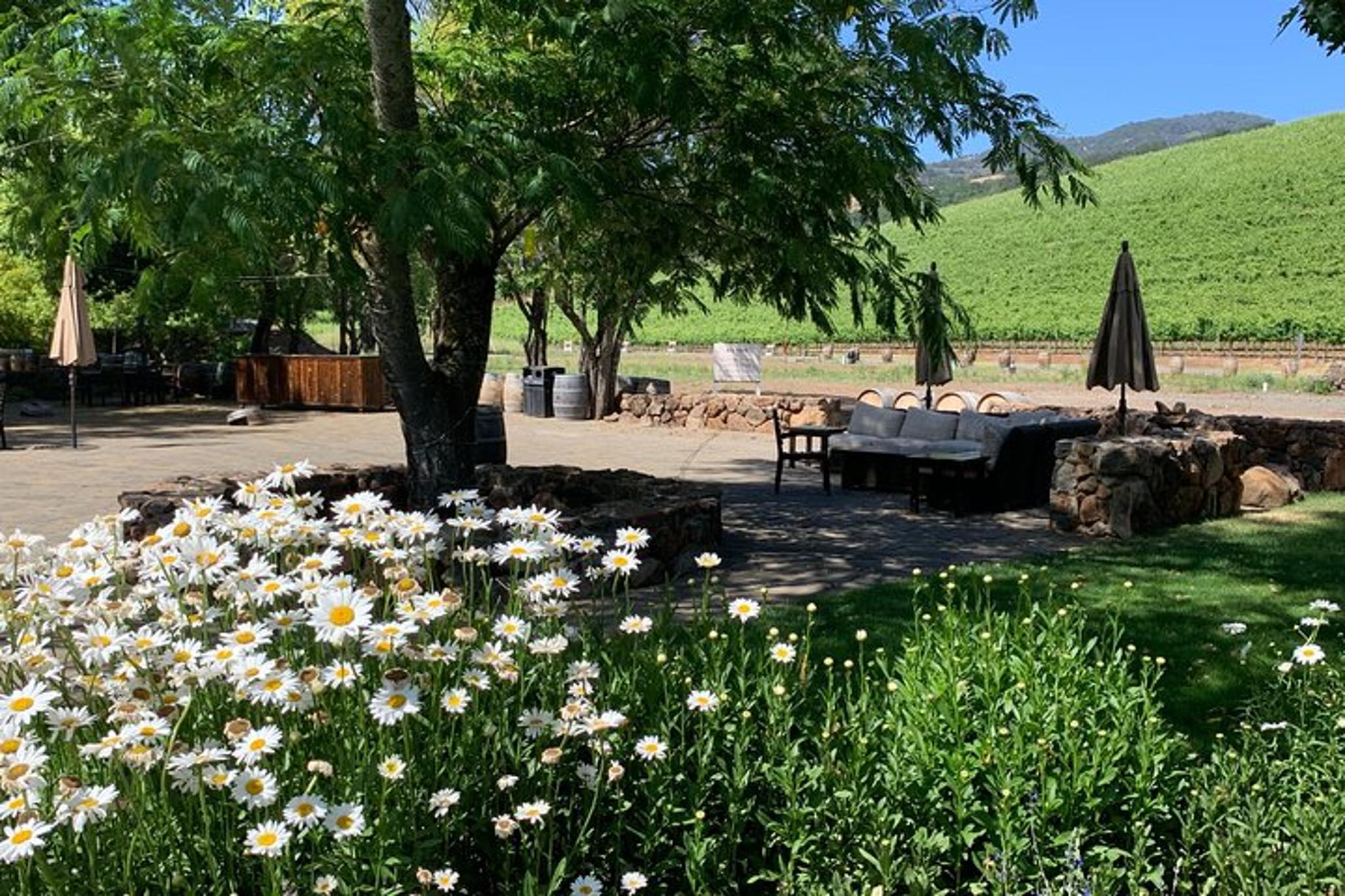 Sonoma Napa Private Wine Tour 8 hr - Image 3