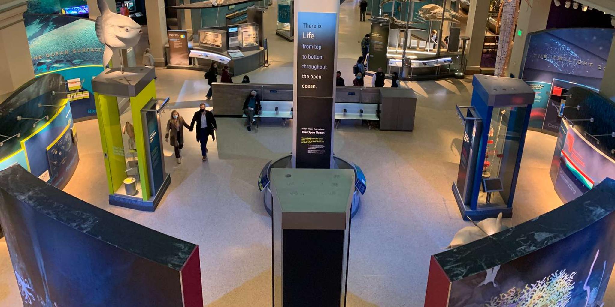 Washington DC Smithsonian Museum of Natural History Tour 2 hr - Image 2