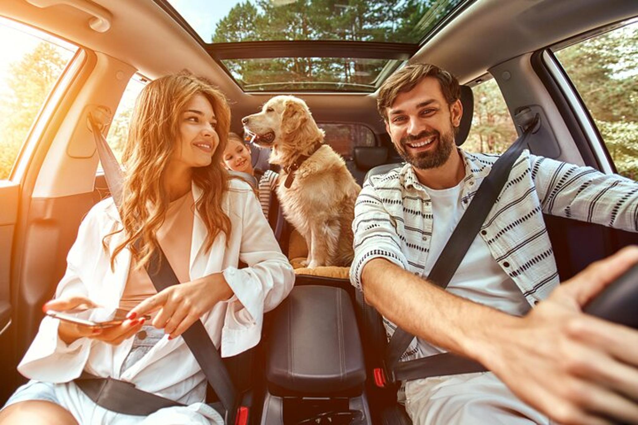 National Parks Self-Guided Driving Tour Bundle