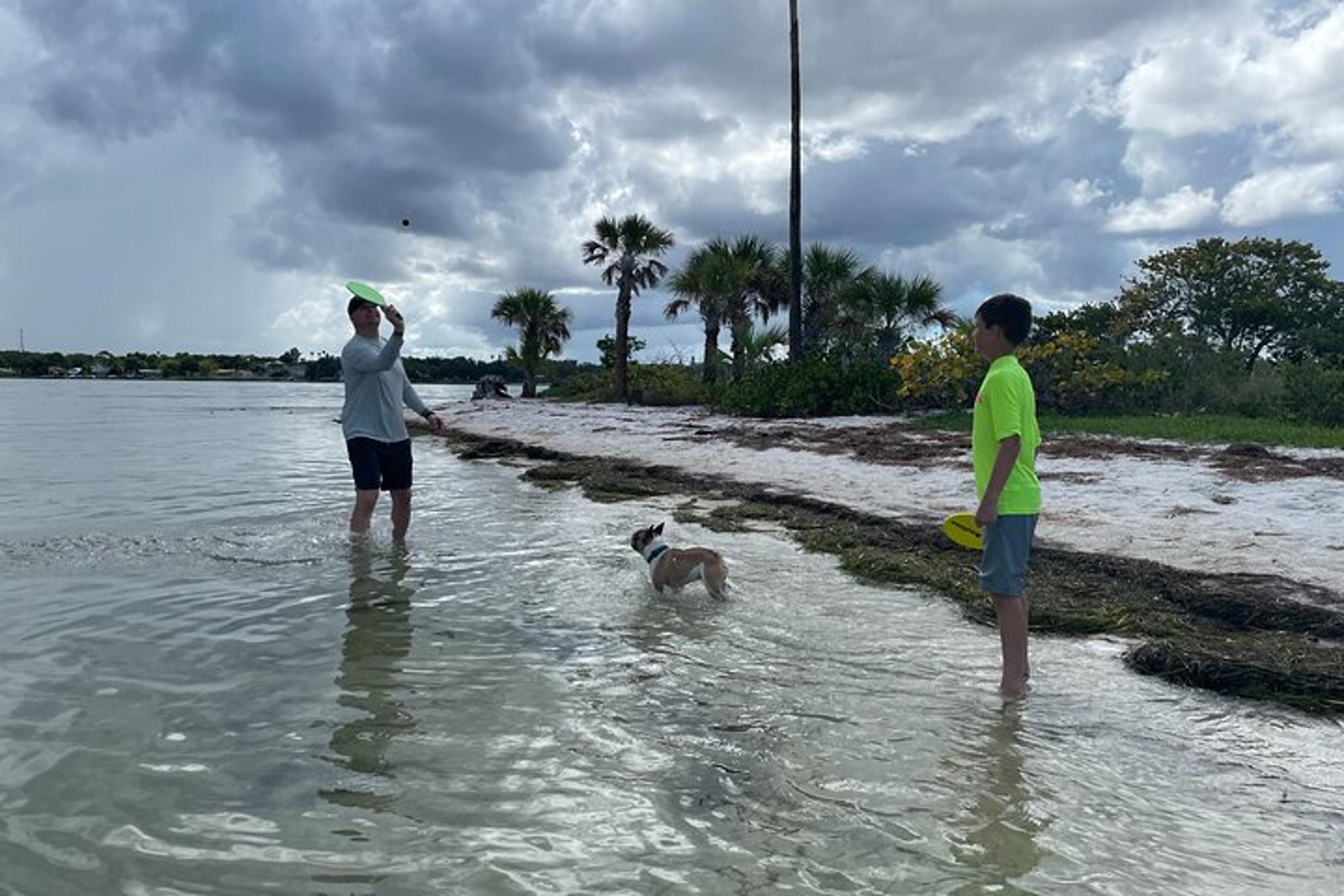 Clearwater Island Kayak Tour with Beach Setup - Image 4