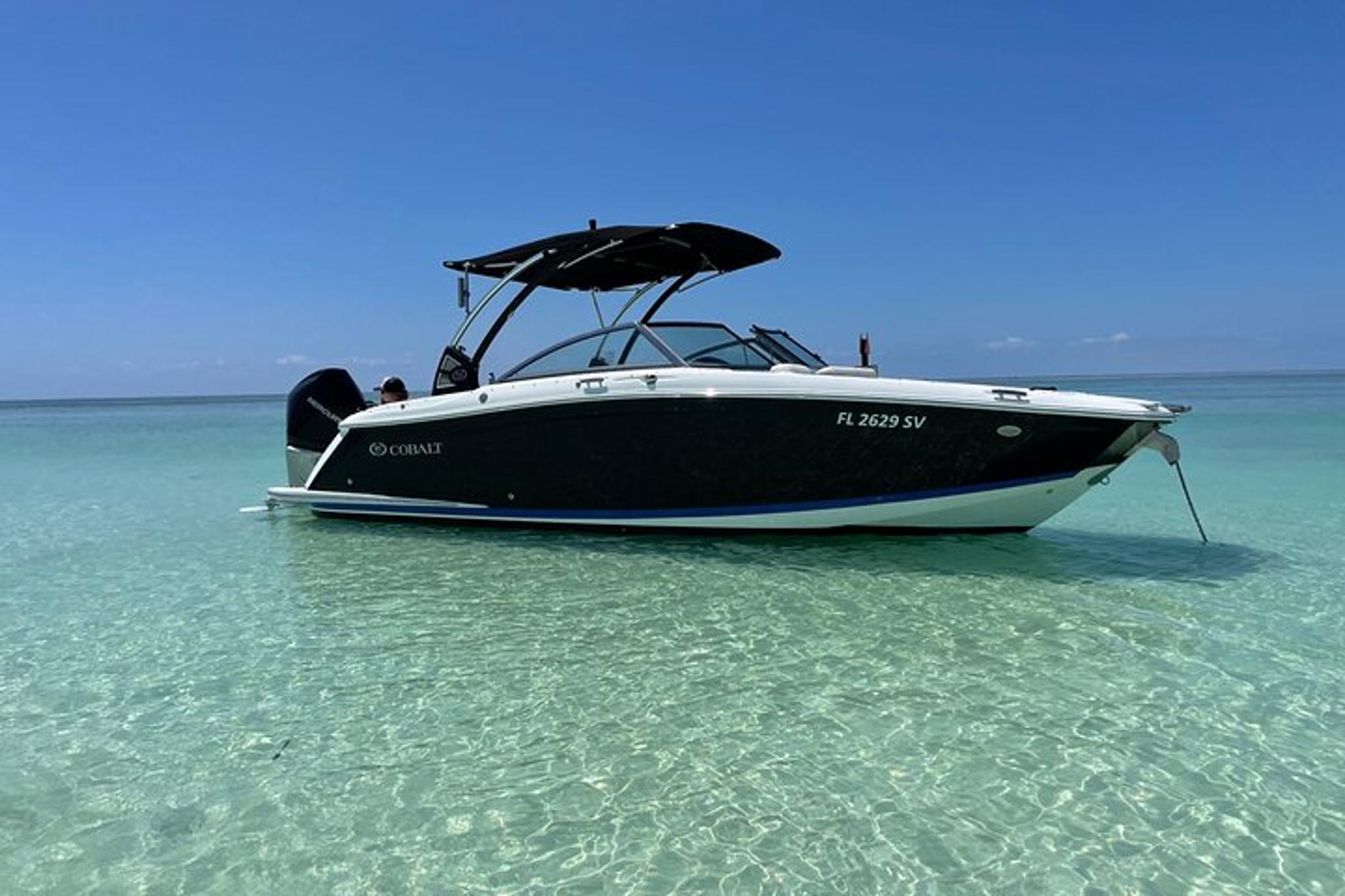 Key Largo Dolphin Tour 60 Min
