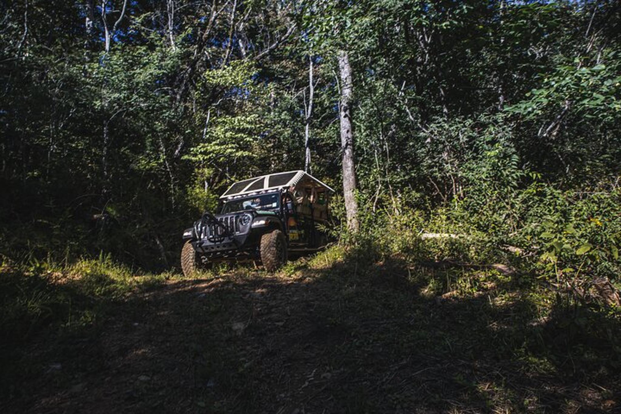 Smoky Mountains Roaring Fork Sightseeing Jeep Tour - Image 2