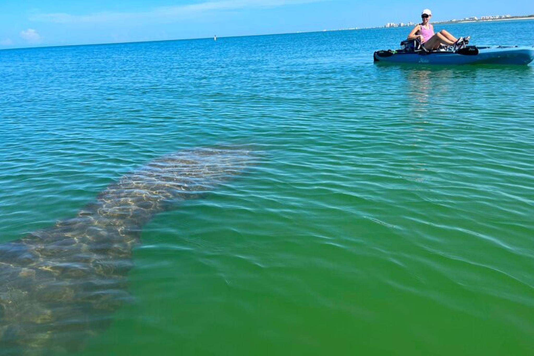 Big Hickory Island Hobie Kayak Eco Adventure - Image 5