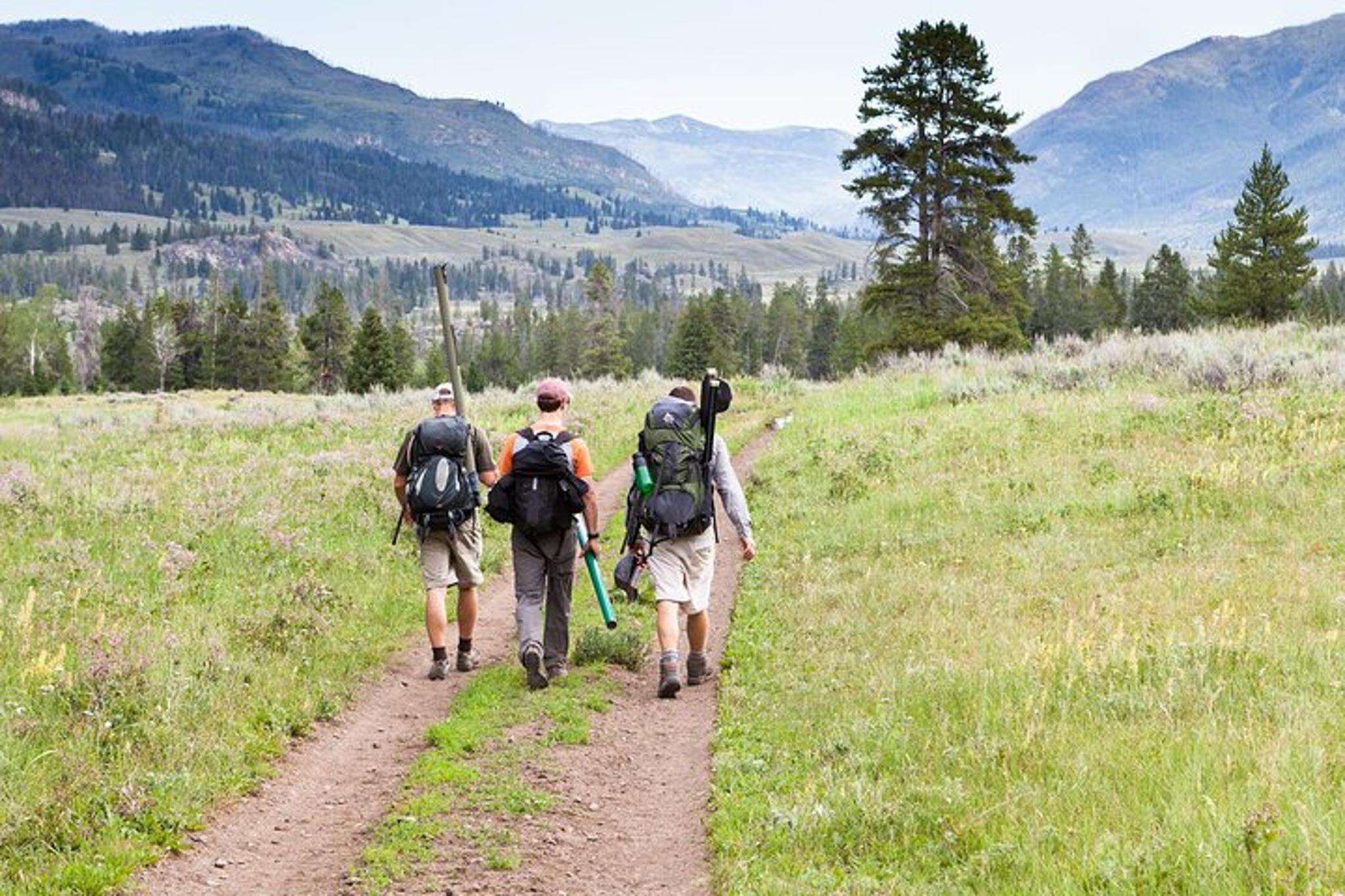Yellowstone Slough Creek Naturalist Hike - Image 5