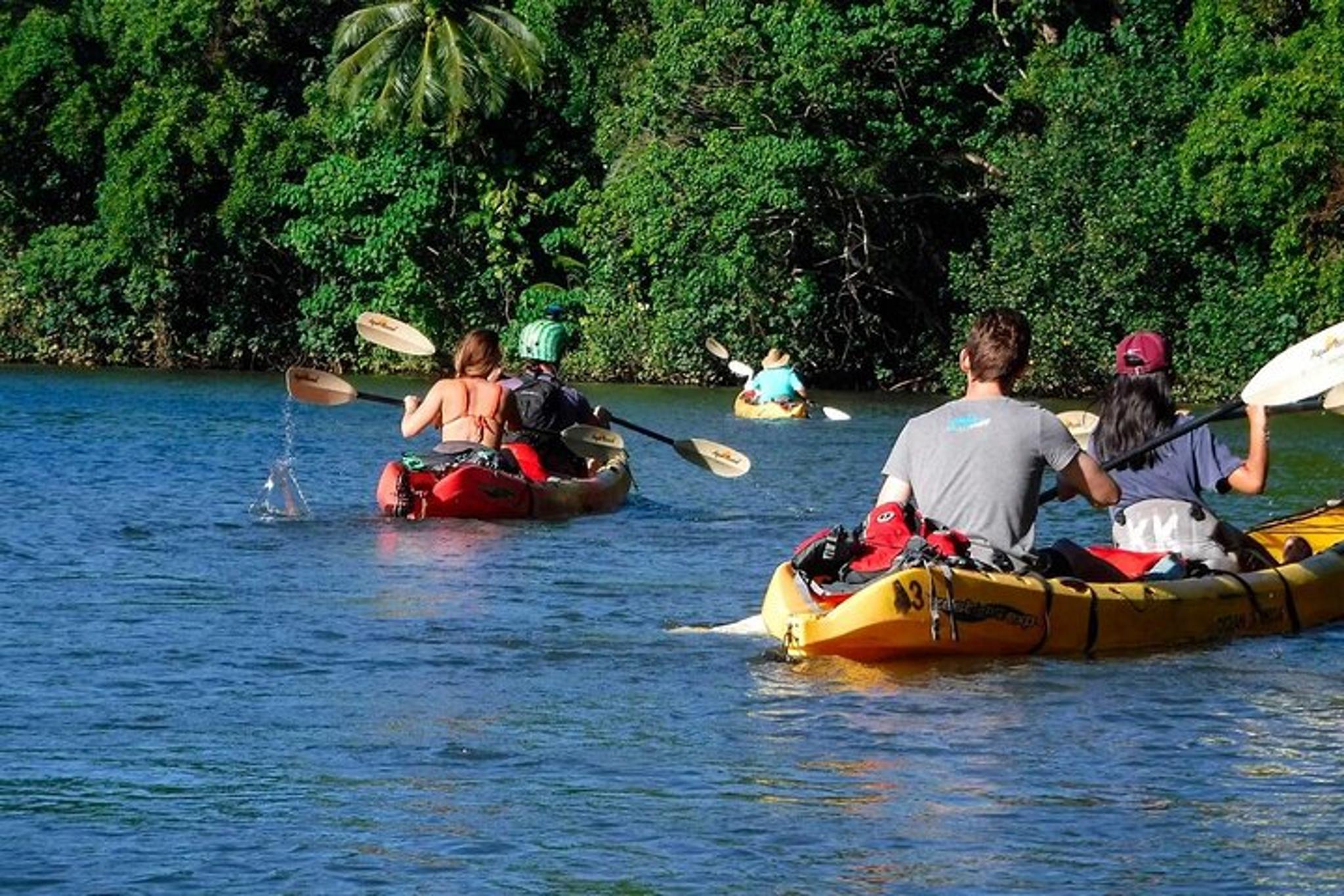 Wailua River Paddle Tour - Image 6