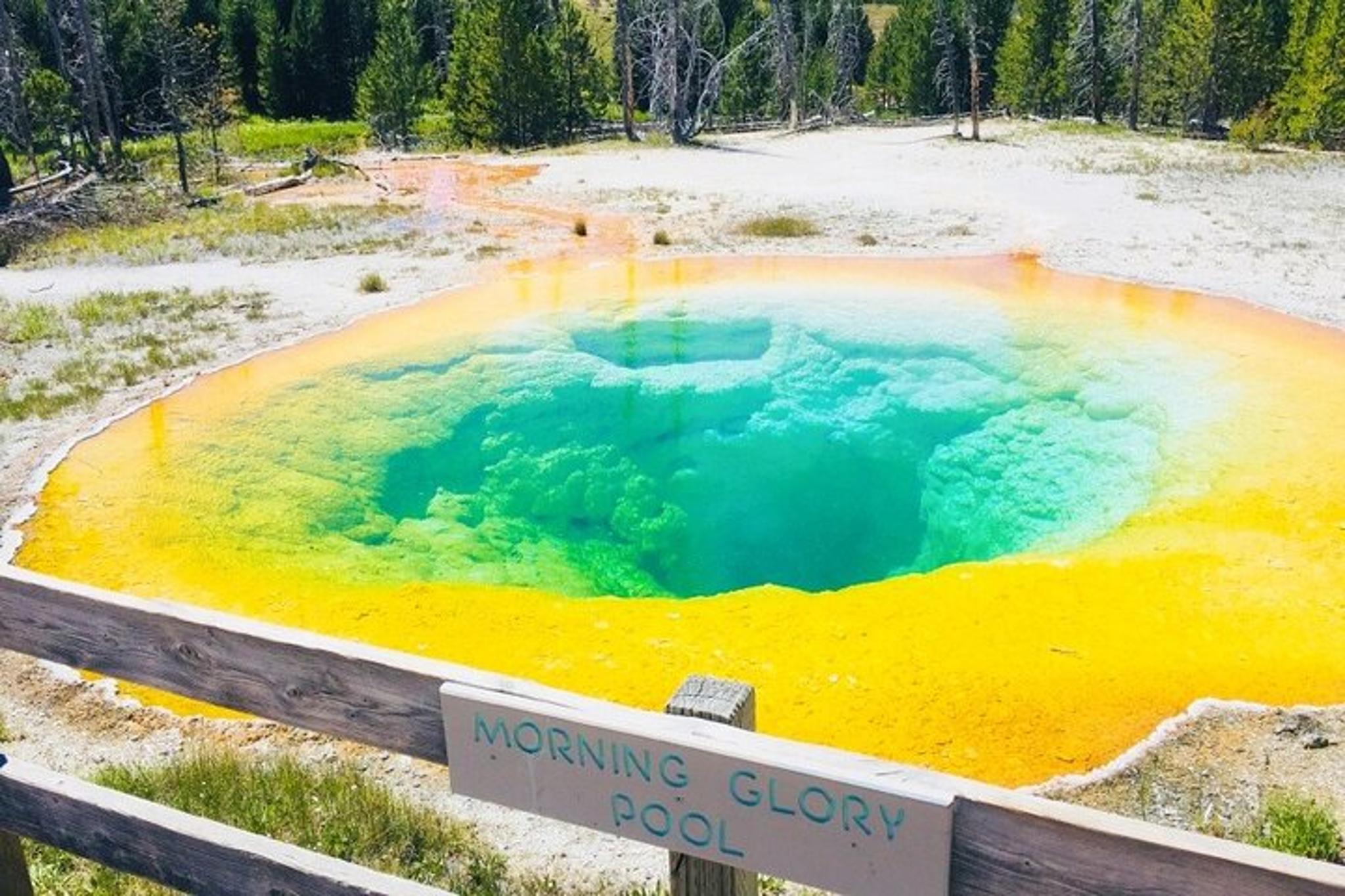 Salt Lake City Yellowstone and Mt Rushmore Tour 4 Days