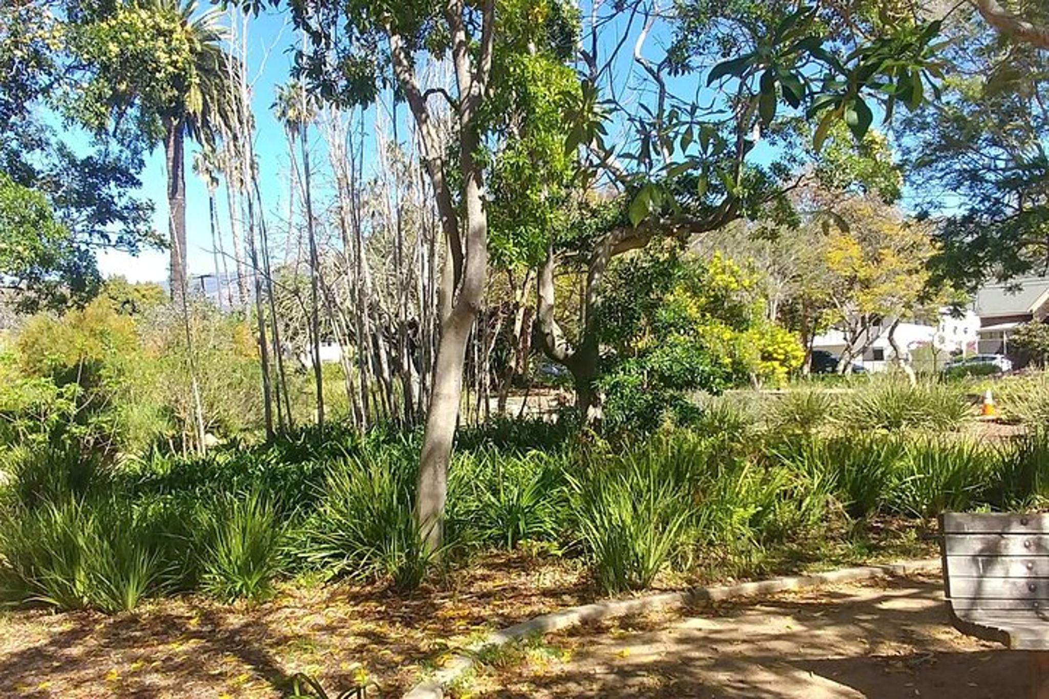 Santa Barbara GPS Self-Guided Urban Stroll - Image 5