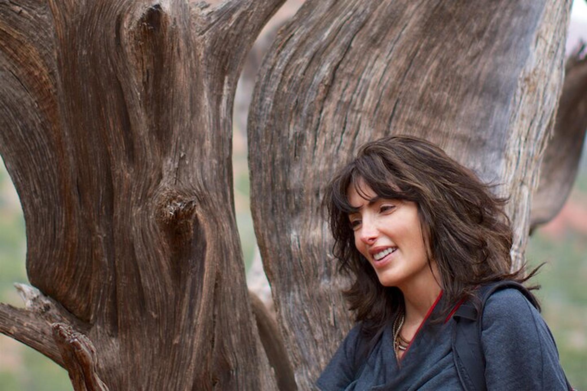 Tucson Forest Bathing and Meditation on Mt Lemmon - Image 3