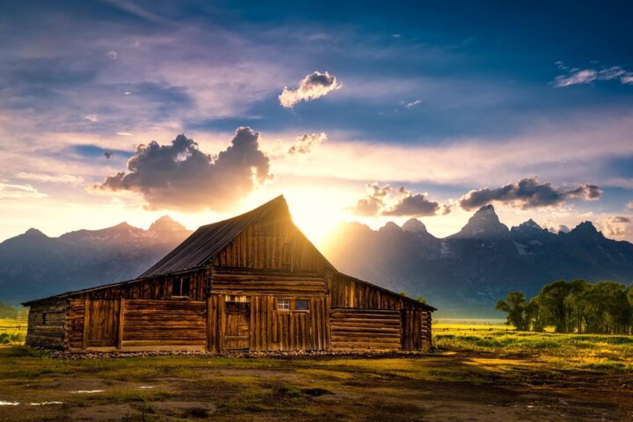Jackson Grand Teton National Park Tour Half-Day
