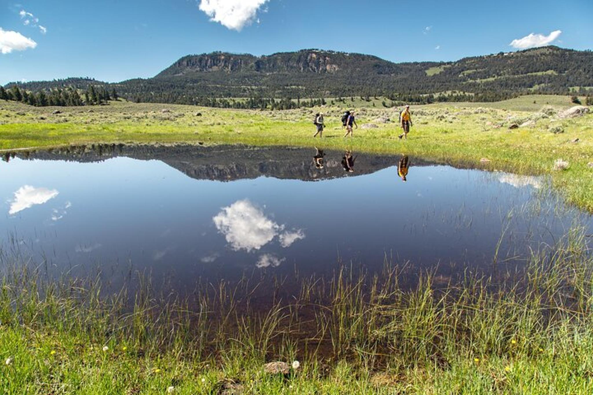 Yellowstone Naturalist Day Hike - Image 6