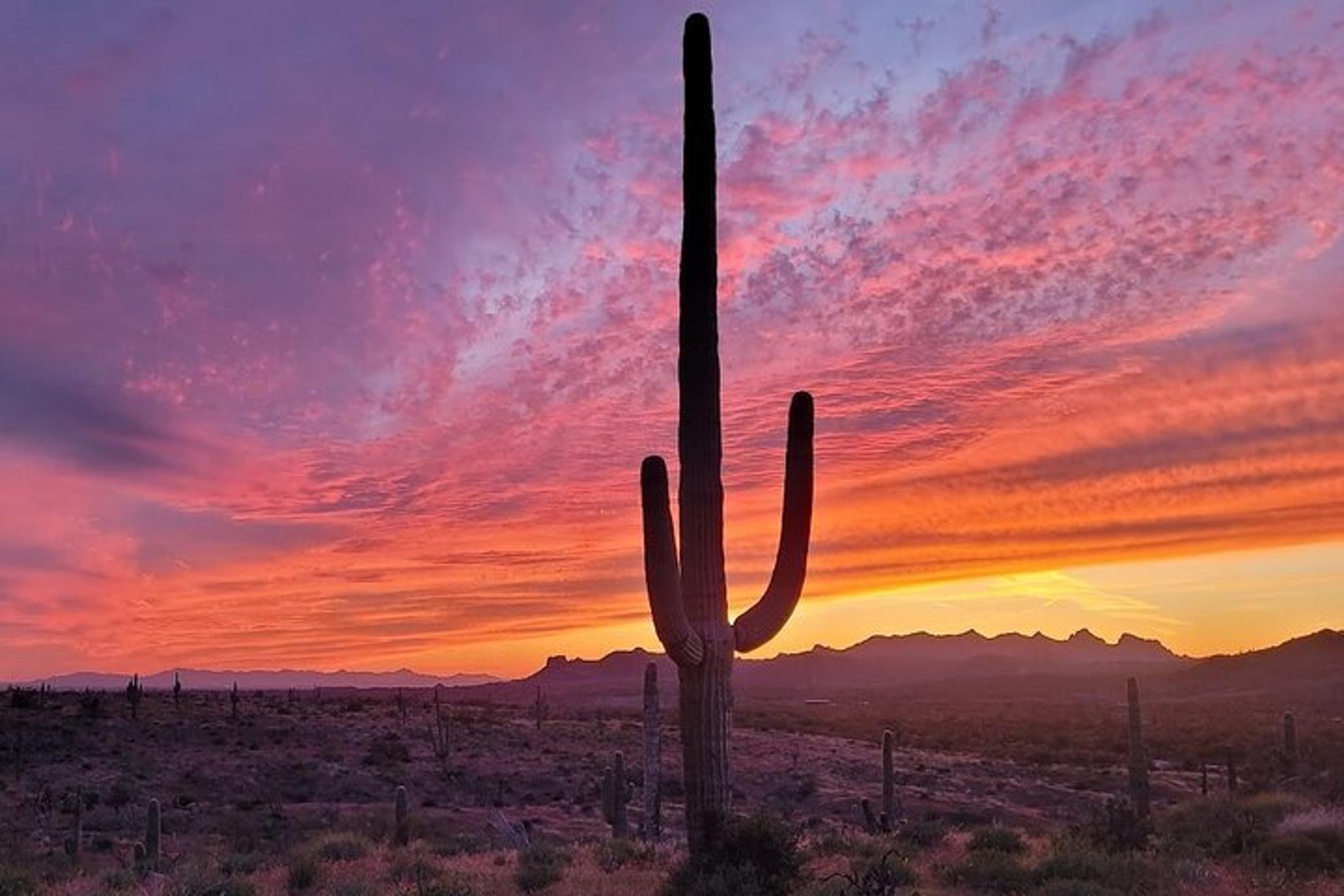 Arizona Desert Night Sky Tour - Image 6
