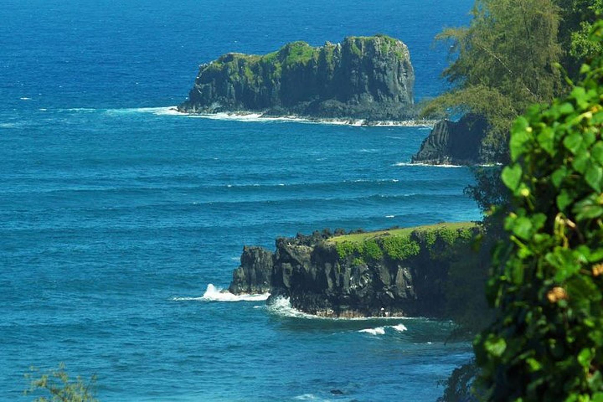 Maui Road to Hāna Tour - Image 5