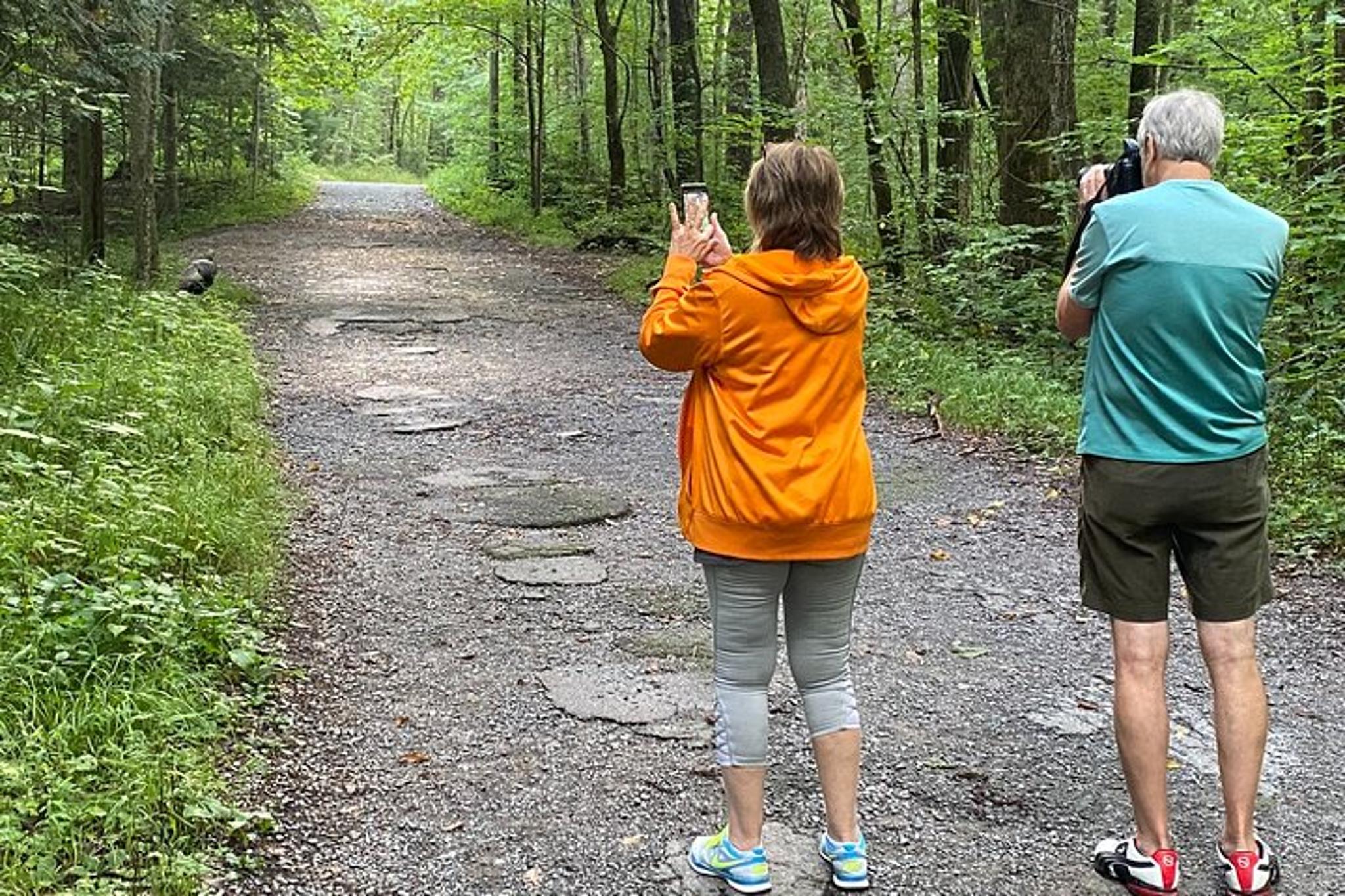 Oconaluftee Scenic Tour - Image 3