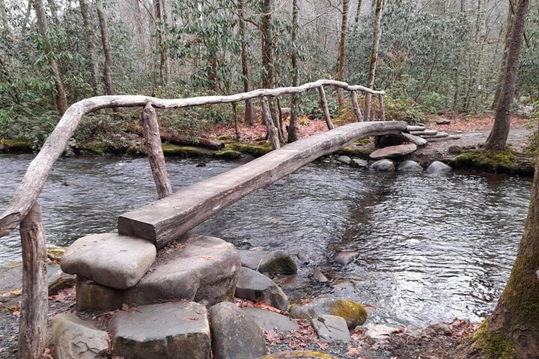 Great Smoky Mountains National Park Driving Tour - Image 5