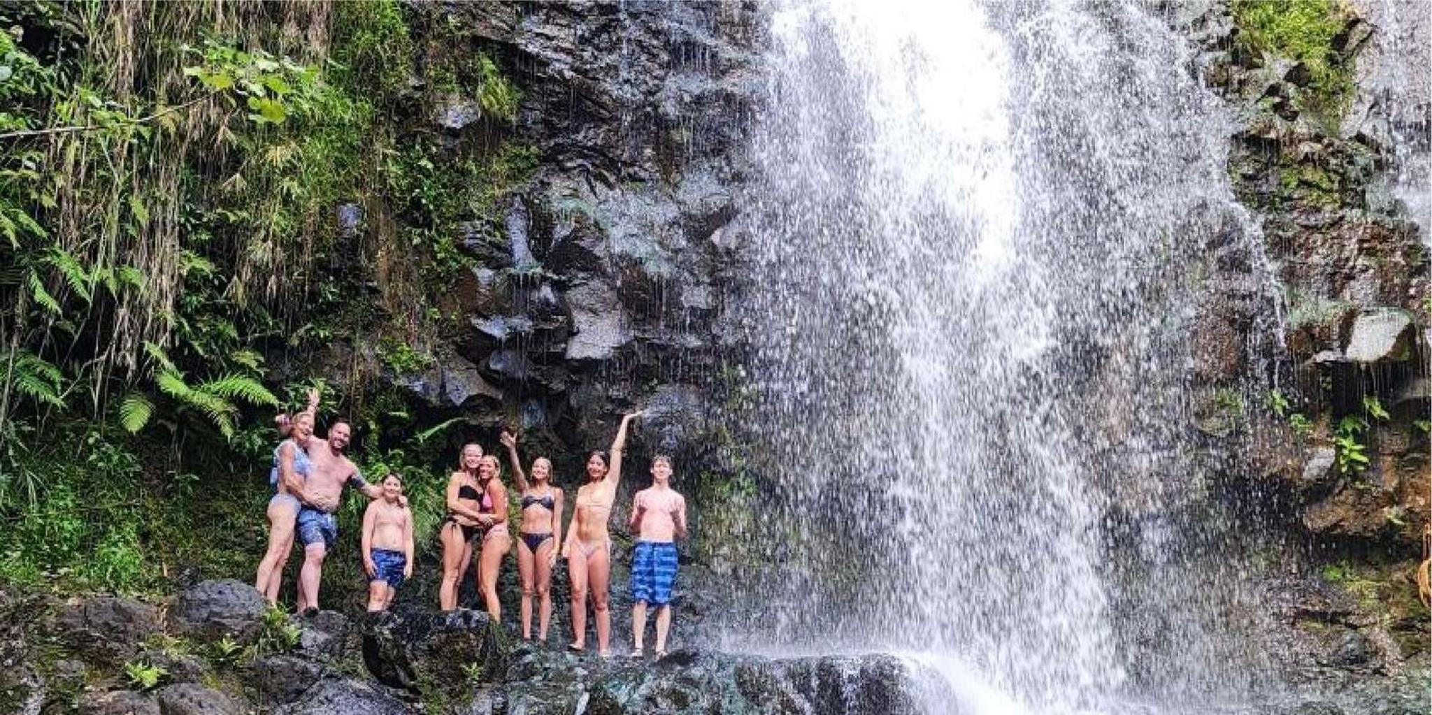 Kauai Guided Hike and Waterfall Swim - Image 5