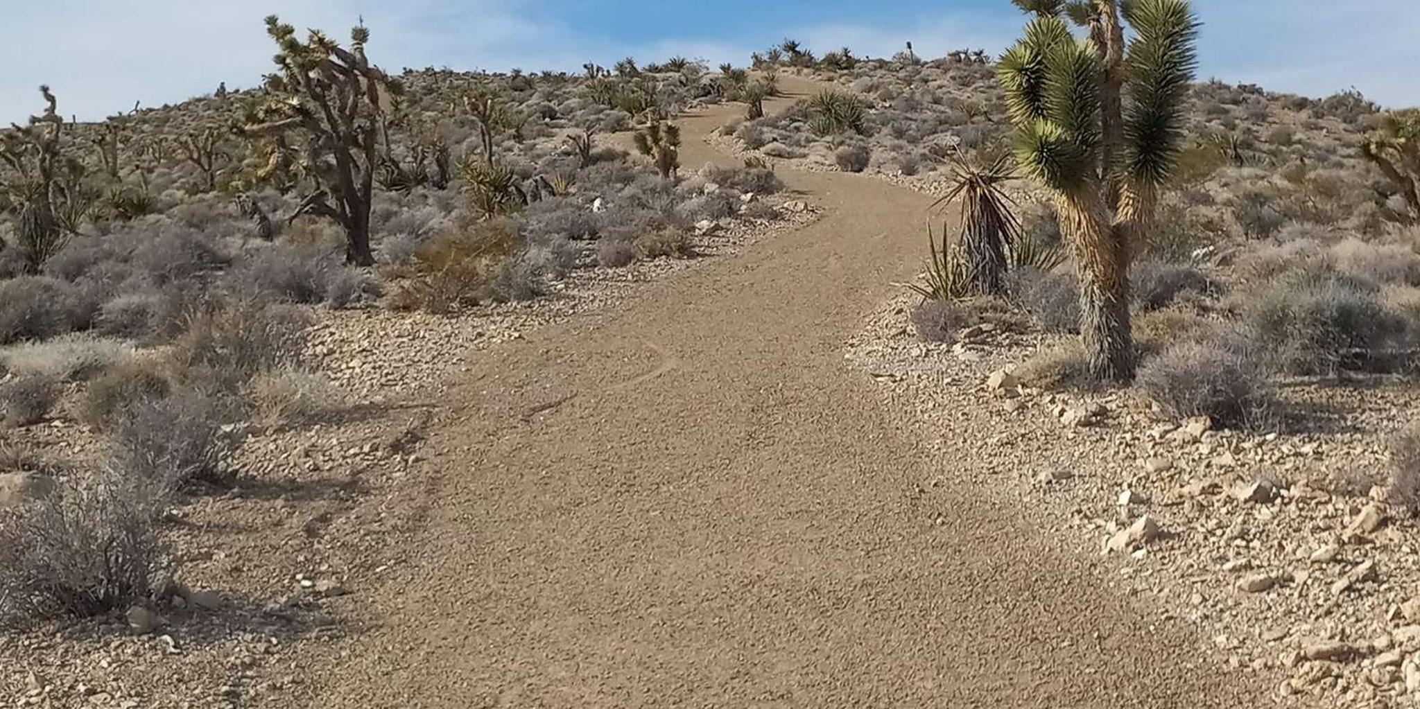 Las Vegas ATV Tour in Goodsprings 2 hr - Image 3