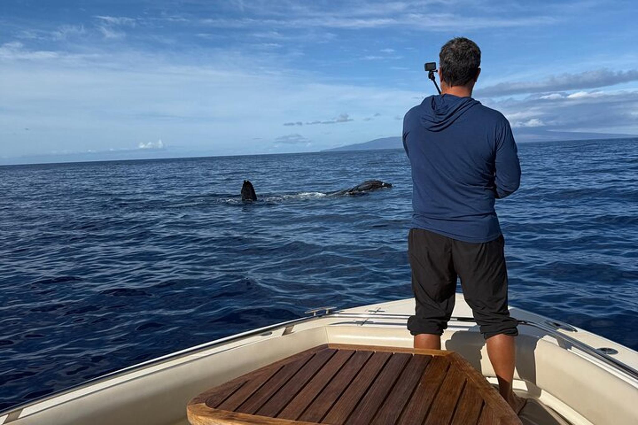 Ma'alaea Humpback Whale Watching Cruise 2 hr - Image 4