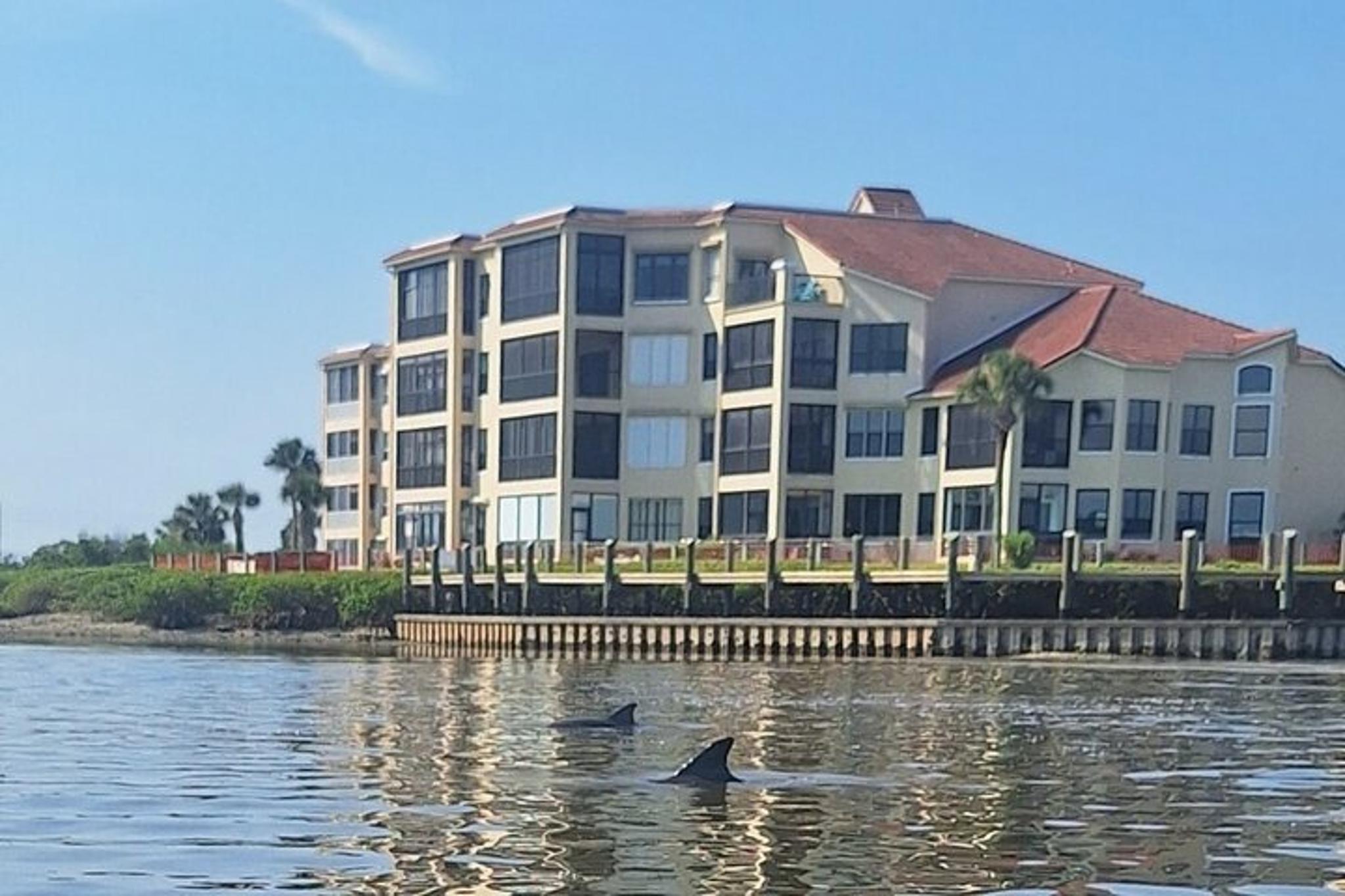 New Smyrna Mangrove Paddle & Mimosa Tour - Image 5